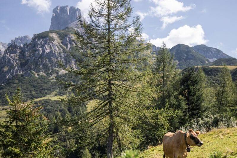 Wandern im Tennengebirge