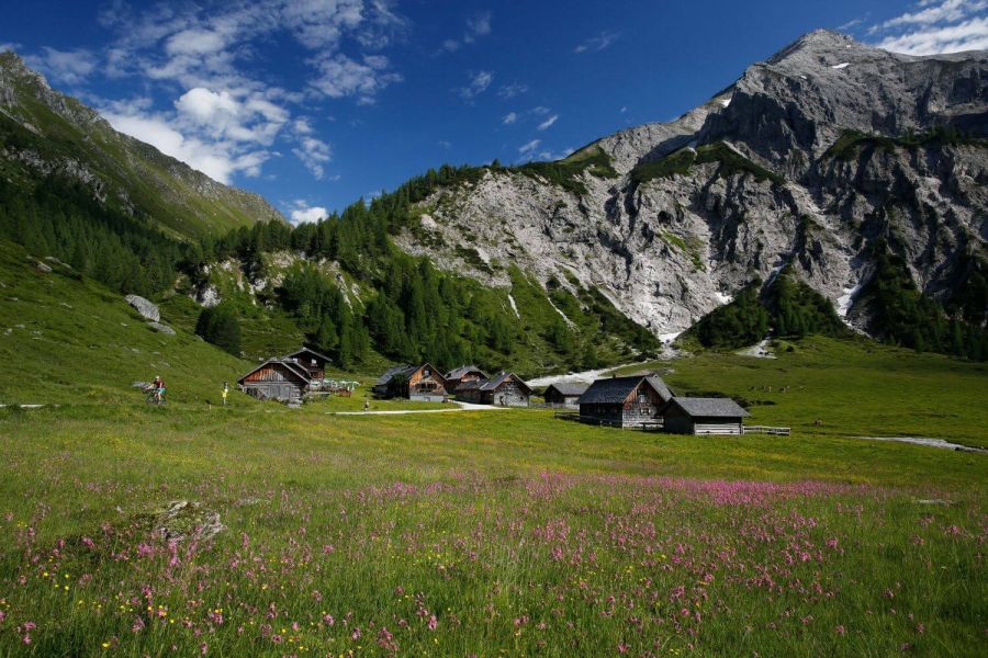 Ursprungalm Schladming-Dachstein