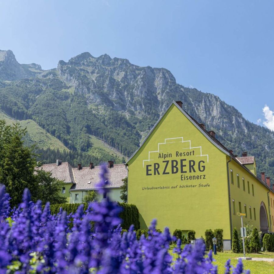 Erzberg Alpin Resort by ALPS RESORTS - Ferienwohnungen in Eisenerz