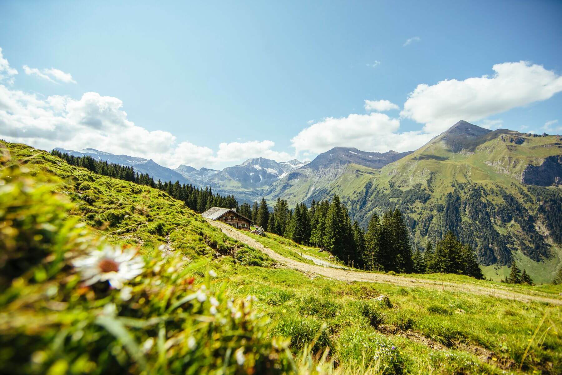 Sommer im Raurisertal/Salzburger Land