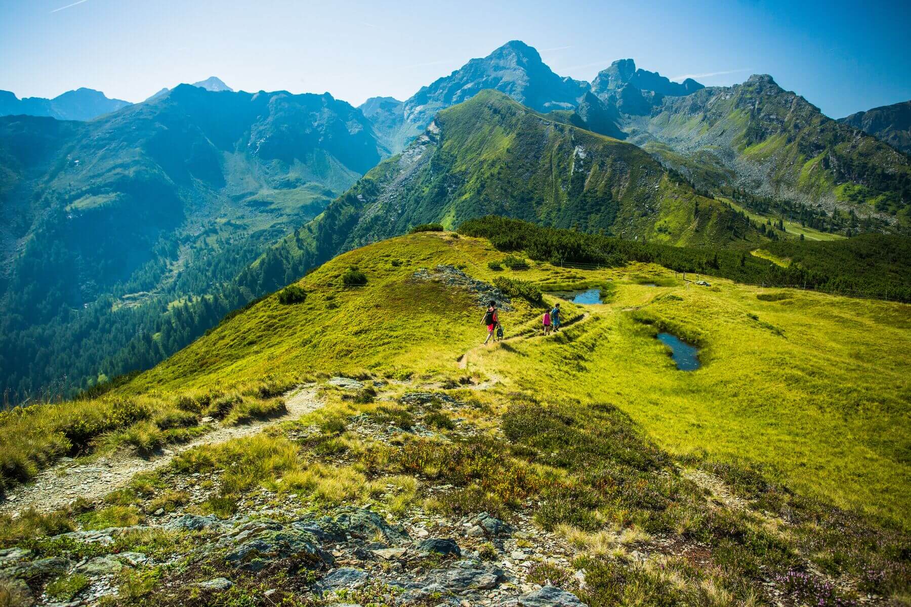 Sommer am Hauser Kaibling/Steiermark